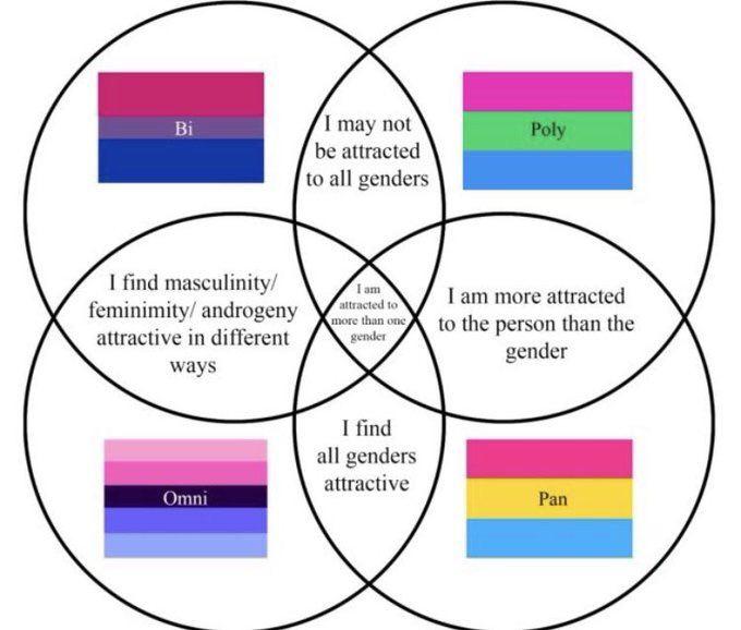A venn diagram of bisexuality, polysexuality, pansexuality, and omnisexuality